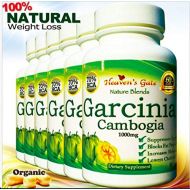 Affordable Natural Health 6 Garcinia Cambogia Extract - Weight Loss Supplement - Appetite Suppressant - 1000 mg - Organic - 70% HCA - GMO and Gluten Free - 100% Pure - 360 Capsules - 6 Month Supply - Free S