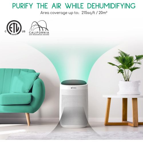  Afloia Air Purifiers and Dehumidifier in One H13 True HEPA Air Purifier 34oz(1000ml) Small Dehumidifiers for Home Bedroom Office (215 sq ft) Remove Odor Dust Smoke Pet Dander Moist