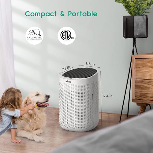  Afloia Air Purifiers and Dehumidifier in One H13 True HEPA Air Purifier 34oz(1000ml) Small Dehumidifiers for Home Bedroom Office (215 sq ft) Remove Odor Dust Smoke Pet Dander Moist