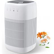 Air Purifier and Dehumidifier in 1, Afloia Q10 True HEPA Air Purifier with H13 HEPA Filter, Small Dehumidifier Combined with Air Cleaner, Remove Pet Odors Dust Smoke for Home, Bedr