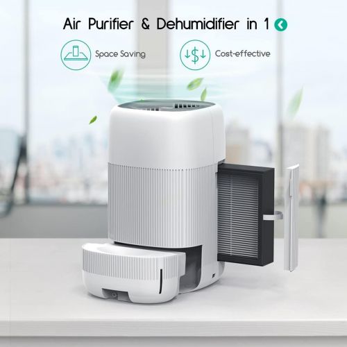  Air Purifier and Dehumidifier in 1, Afloia Q10 True HEPA Air Purifier with H13 HEPA Filter, Small Dehumidifier Combined with Air Cleaner, Remove Pet Odors Dust Smoke for Home, Bedr