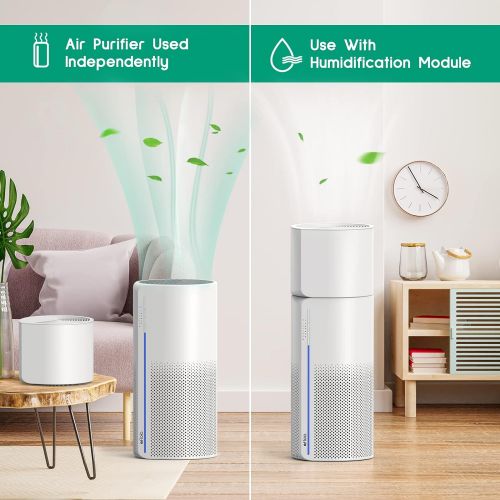  Afloia 2 in 1 HEPA Air Purifier with Humidifier, 3 Stage H13 Filters for Home Allergies Pets Hair Smoker Odors, Evaporative Humidifier, Auto Shut Off, Quiet Air Cleaner with Seven