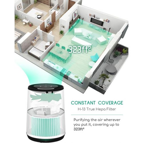  Afloia Gala Air Purifier for Home Smokers with Air Quality Senor,True HEPA Filter Air Purifier for Living Room Bedroom Office, Removes 99.97% Dust Allergies Pets Hair, Night Light