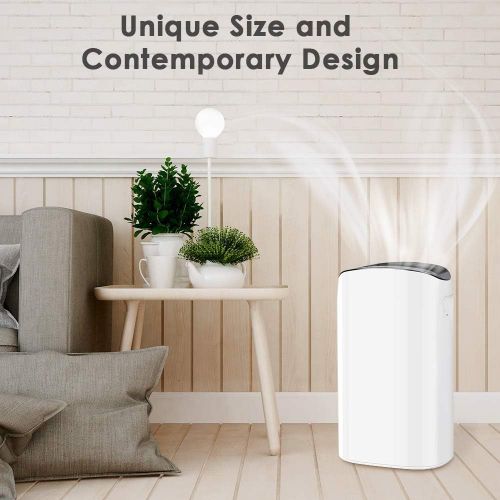  Air Choice Air Purifier Filter - 3-in-1 True HEPA Air Purifier Filter, Reduce Pet Dander, Household Odor, Smoke & Dust, Perfect for Home & Office