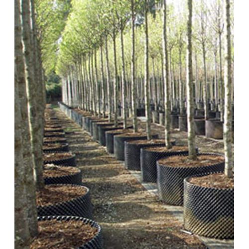  Superoots Air-Pot 7 Gallon Equivalent Garden Propagation Pot Planter Container (3 Pack)