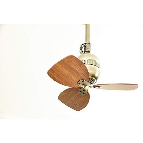  [아마존베스트]AireRyder Vaxcel Toledo Ceiling / Wall Fan Enclosure Colour Antique Brass Blade Colour Walnut