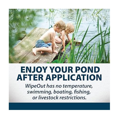  Airmax Wipeout Pond Weed Defense, Herbicide & Aquatic Weed Control, Controls Duckweed & Other Unwanted Submerged & Floating Vegetation, Easy-to-Use & Long Lasting, All-Season Treatment - 8 Ounce