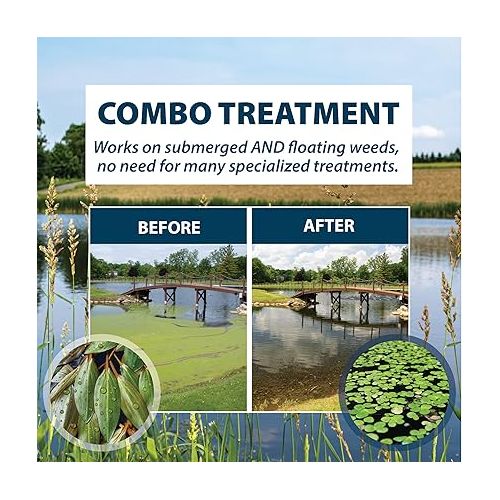  Airmax Wipeout Pond Weed Defense, Herbicide & Aquatic Weed Control, Controls Duckweed & Other Unwanted Submerged & Floating Vegetation, Easy-to-Use & Long Lasting, All-Season Treatment - 8 Ounce