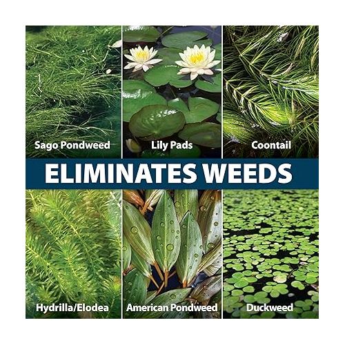  Airmax Wipeout Pond Weed Defense, Herbicide & Aquatic Weed Control, Controls Duckweed & Other Unwanted Submerged & Floating Vegetation, Easy-to-Use & Long Lasting, All-Season Treatment - 8 Ounce