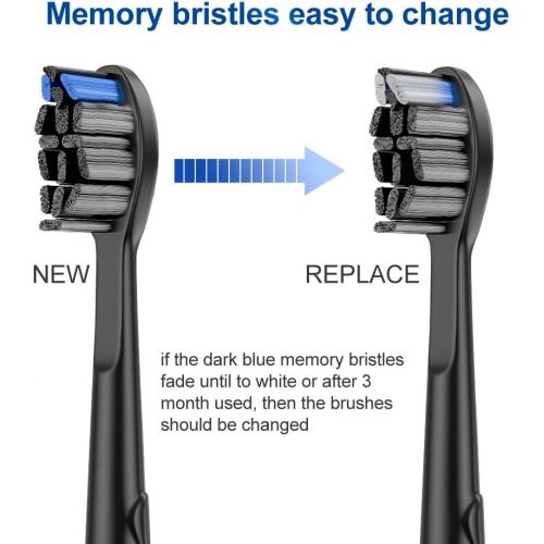  AISMAILI 12 x Replacement Brushes Compatible with Philips Electric Toothbrush Heads Black Toothbrush Attachments