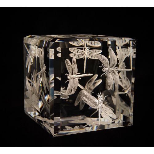  Akoko Art Handengraved Crystal Glass Hand Engraved Award Crystal Cube, Dragonflies, Orrefors Crystal Cube, Engraved Glass, Office Decor, Dragonflies, Awards, Decor, Gifts