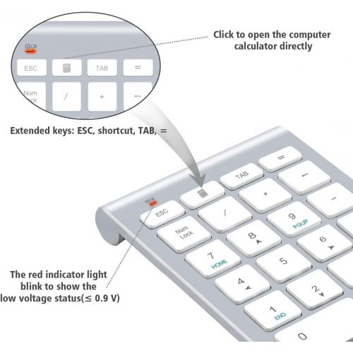  [아마존베스트]Alcey 22 Keys Numeric Keypad with 2.4 GHz Mini USB Receiver