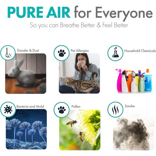  Alen FLEX Air Purifier, Quiet Air Flow for Large Rooms, 700 SqFt, Air Cleaner for Allergens, Dust, Mold, Pet Odors, Smoke with Long Filter Life
