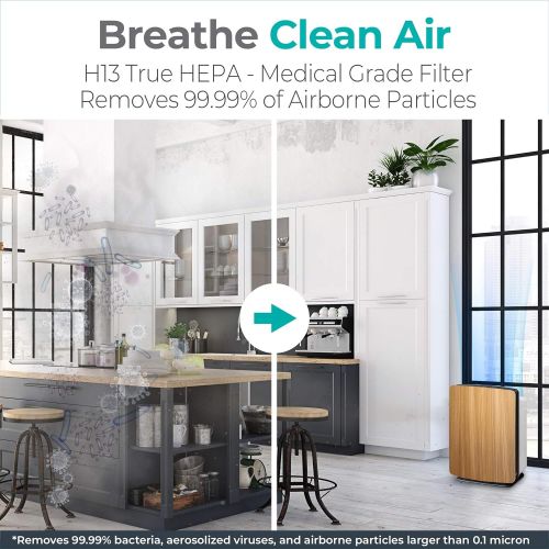  Alen FIT50 Air Purifier, Quiet Air Flow for Large Rooms, 900 SqFt, Air Cleaner for Allergens, Dust, Mold, Pet Odors, Smoke, VOCs with Long Filter Life