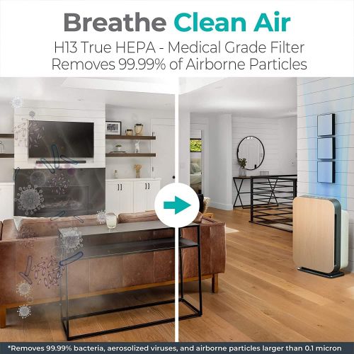  Alen 75i Air Purifier, Quiet Air Flow for Extra-Large Rooms, 1300 SqFt, Air Cleaner for Allergens, Dust, Mold, Pet Odors, Smoke with Long Filter Life