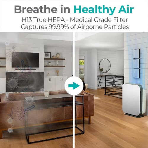  Alen 75i Air Purifier, Quiet Air Flow for Extra-Large Rooms, 1300 SqFt, Air Cleaner for Allergens, Dust, Mold, Pet Odors, Smoke with Long Filter Life