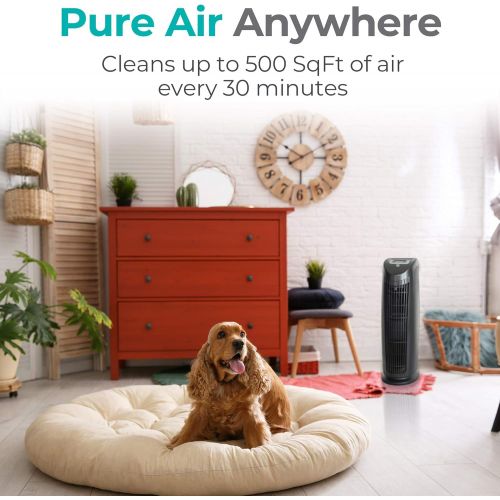  Alen T500 Air Purifier, Quiet Air Flow for Large Rooms, 500 SqFt, Portable Air Cleaner for Allergens, Dust, Pollen, Pet Dander, in Black