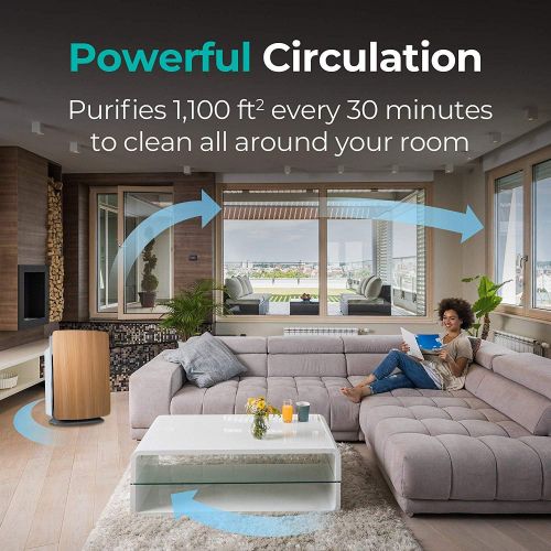  Alen BreatheSmart Customizable Air Purifier with HEPA-Pure Filter for Allergies and Dust (Espresso, 1-Pack)