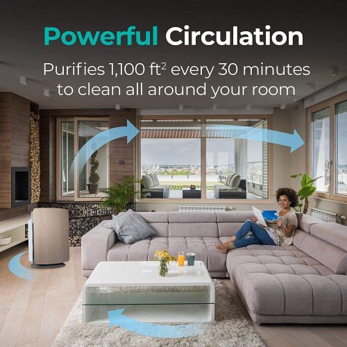  Alen BreatheSmart Customizable Air Purifier with HEPA-Pure Filter for Allergies and Dust (Espresso, 1-Pack)