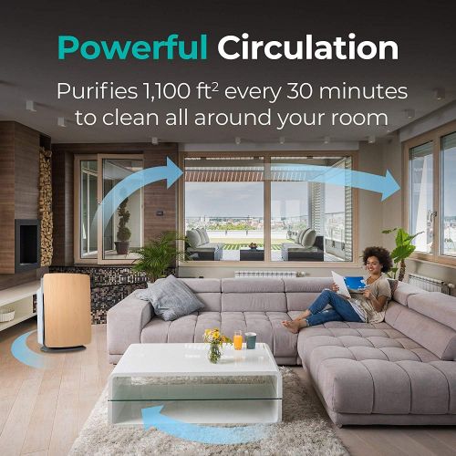  Alen BreatheSmart Customizable Air Purifier with HEPA-Pure Filter for Allergies and Dust (Maple, 1-Pack)
