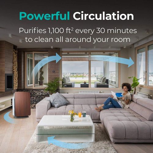  Alen BreatheSmart Customizable Air Purifier with HEPA-Pure Filter for Allergies and Dust (Maple, 1-Pack)