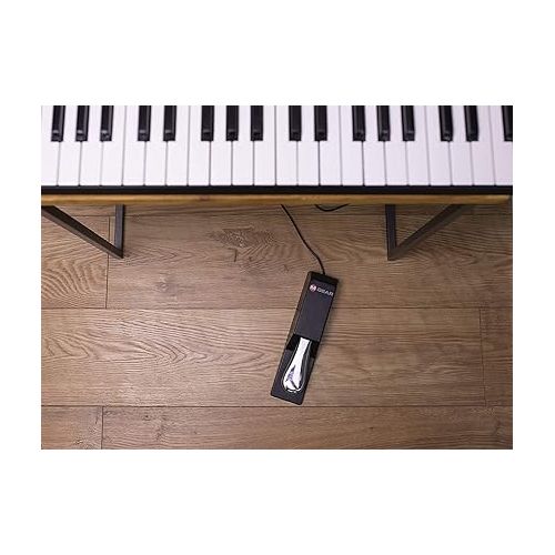  Alesis Recital - 88 Key Digital Piano Keyboard with Semi Weighted Keys, 5 Voices, Piano Lessons, M-Audio Sustain Pedal and HDH40 Piano Headphones