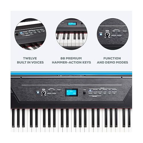  Alesis Recital Pro | Digital Piano/Keyboard & RockJam Xfinity Heavy-Duty, Double-X, Pre-Assembled, Infinitely Adjustable Piano Keyboard Stand with Locking Straps
