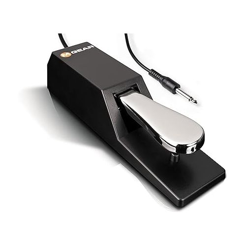  Alesis Recital Grand - 88 Key Digital Piano & M-Audio SP 2 - Universal Sustain Pedal with Piano Style Action For MIDI Keyboards, Digital Pianos & More