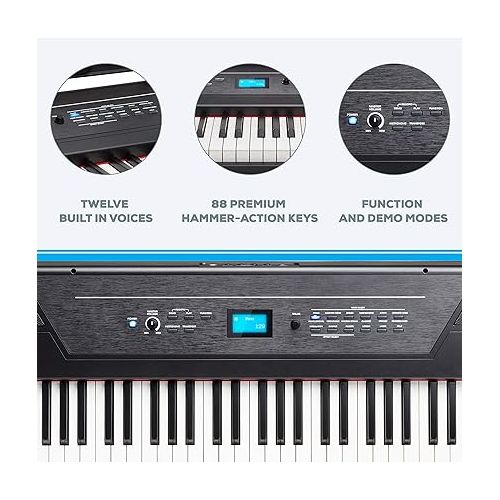  Alesis Recital Pro - 88 Key Digital Piano Keyboard with Hammer Action Weighted Keys & RockJam KB100 Adjustable Padded Keyboard Bench, X-Style, Black