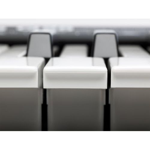  [아마존베스트]ALESIS Q25 Keyboard Controller