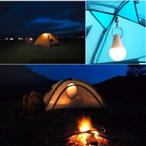  All Best 2 Pack USB Camping Lights 10W Bulb Dimmable Portable Light 3 Color 10-Level 80-700 Lumen Dimmable LED USB Bulb Lighting Portable Emergency Lantern with 6.56ft Cable for Reading Hik