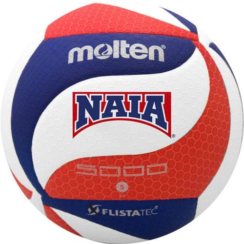  All Volleyball, Inc. Molten Flistatec NAIA Volleyball