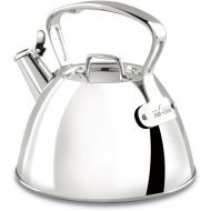 All-Clad Specialty Stainless Steel Tea Kettle 2 Quart Induction Pots and Pans, Cookware Silver
