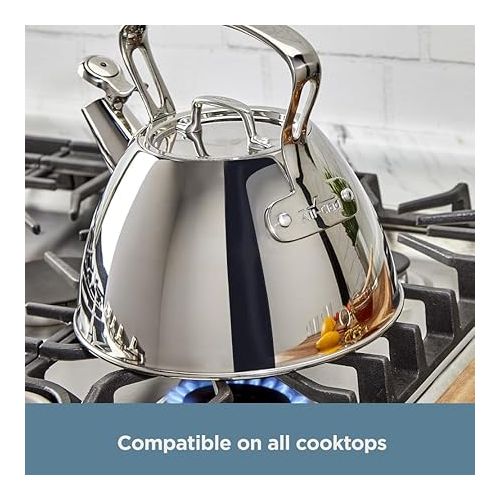  All-Clad Specialty Stainless Steel Tea Kettle 2 Quart Induction Pots and Pans, Cookware Silver