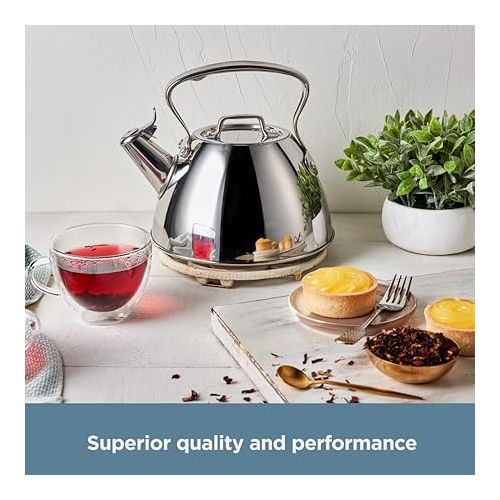  All-Clad Specialty Stainless Steel Tea Kettle 2 Quart Induction Pots and Pans, Cookware Silver