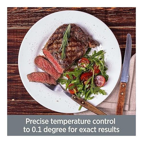  All-Clad EH800D51 Sous Vide Professional Immersion Circulator Slow Cooker with Digital Display for Precise Cooking Results, Silver