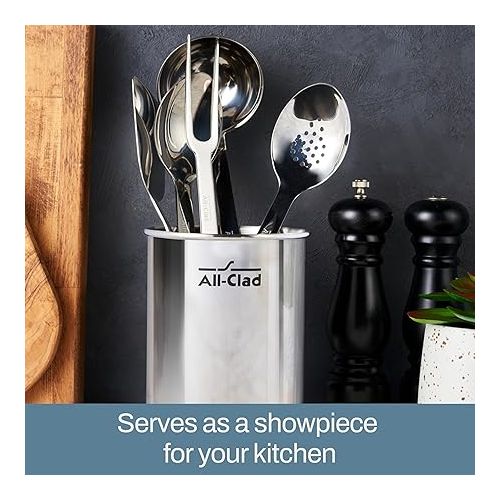  All-Clad Professional Stainless Steel Kitchen Gadgets and Caddy 6 Piece Kitchen Tools, Kitchen Hacks Silver