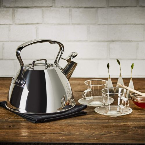  All-Clad E86199 Stainless Steel Tea Kettle, 2-Quart, Silver