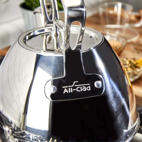  All-Clad E86199 Stainless Steel Tea Kettle, 2-Quart, Silver