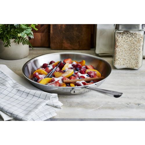  All-Clad 4110 Stainless Steel Tri-Ply Bonded Dishwasher Safe Fry Pan / Cookware, 10-Inch, Silver
