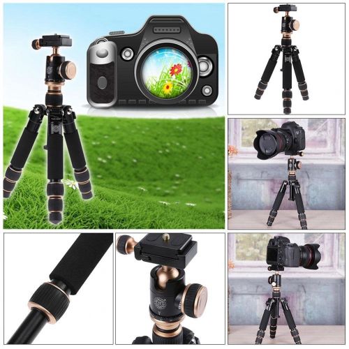  Alloet Q166 Aluminum Alloy 3 Section Short Photography Camera Tripod Head Monopod