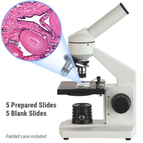  AmScope 40X-1000X Biological Compound Microscope with Prepared and Blank Slides for Student and Kids
