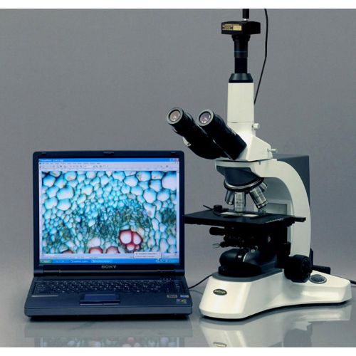  [아마존베스트]AmScope MU1403-CK 14MP Live Video USB3.0 Microscope Digital Camera 14 MP + Calibration Kit