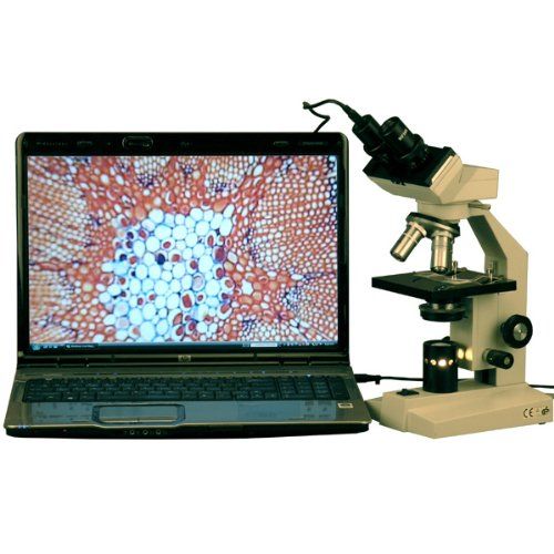  [아마존베스트]AmScope B100-E 1000X Digital Compound Binocular Microscope, 40X-1000X Magnification, Brightfield, Tungsten Illumination, Abbe Condenser, Plain Stage, Includes 0.3MP Camera and Soft