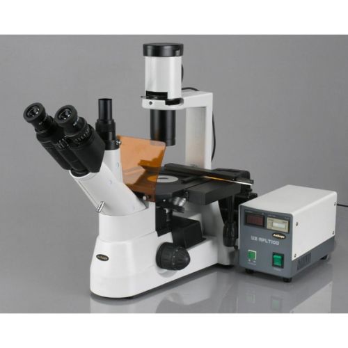  [아마존베스트]AmScope IN300TC-FL-5MCCD 40x-1000x EPI Fluorescent Tissue Culture Inverted Microscope + 5MP CCD Camera