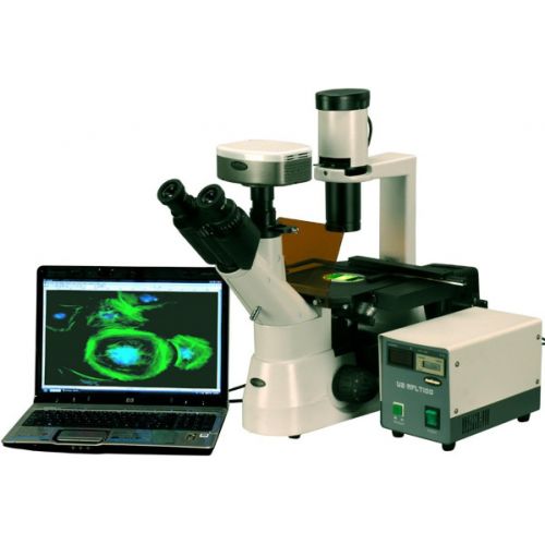  [아마존베스트]AmScope IN300TC-FL-5MCCD 40x-1000x EPI Fluorescent Tissue Culture Inverted Microscope + 5MP CCD Camera