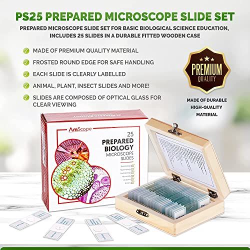  [아마존베스트]AmScope PS25W 25 Glass Prepared Microscope Slides with Wooden Box