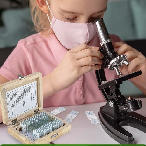  [아마존베스트]AmScope PS25W 25 Glass Prepared Microscope Slides with Wooden Box