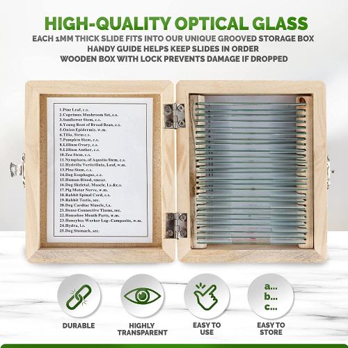  [아마존베스트]AmScope PS25W 25 Glass Prepared Microscope Slides with Wooden Box