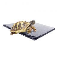 Amakunft Natural Reptile Habitat Rocks, Turtle Basking Platform Accessory Decor for Amphibian Habitat